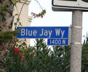 BlueJayWay