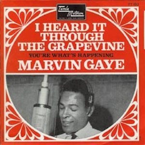 Gaye Grapevine sleeve