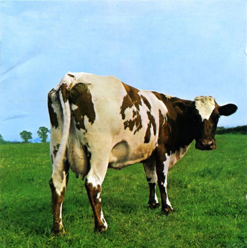 Atom Heart