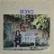 reDiscover:ニール・ダイアモンド『Stones』