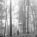 テイラー・スウィフト『folklore』解説：コロナ禍でどう生まれ、何が込められ、過去作と何が違うのか