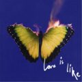 マルーン5、4年ぶりの新作アルバム『Love Is Like』を8/15発売。先行曲「All Night」配信開始