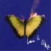 マルーン5、4年ぶりの新作アルバム『Love Is Like』を8/15発売。先行曲「All Night」配信開始
