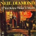 ニール・ダイアモンドがアメリカ建国200年祭の時期に放ったヒット曲「If You Know What I Mean」