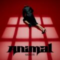 KATSEYE新曲「Animal」で全米チャート自己最高デビューを記録。新EP『WILD』は8/8 発売